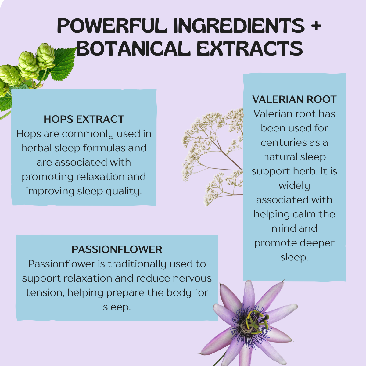Hapi Patch Easee Sleep Patches ingredients: hops extract, valerian root and passionflower
