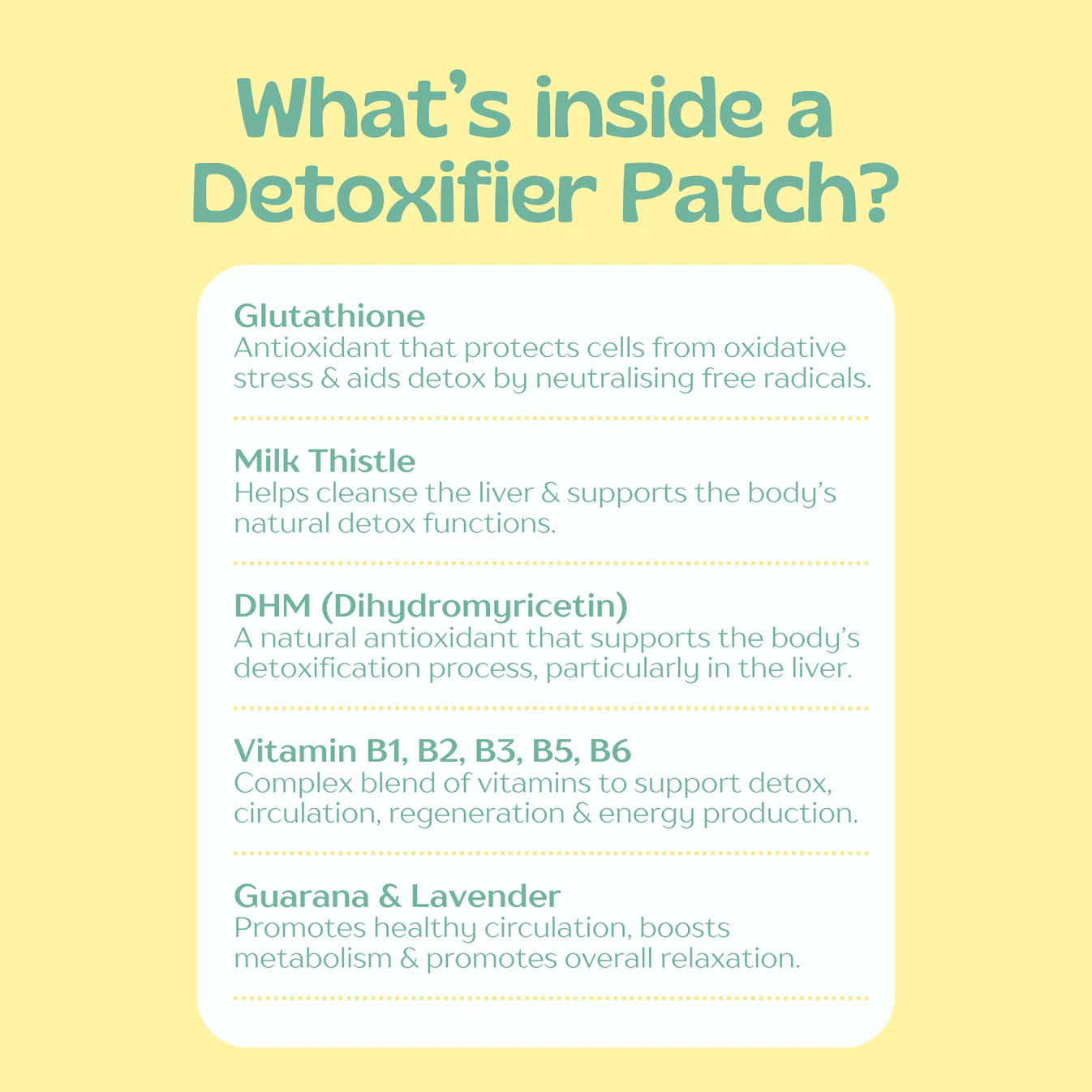 The Detoxifier (Detox Support Patch)