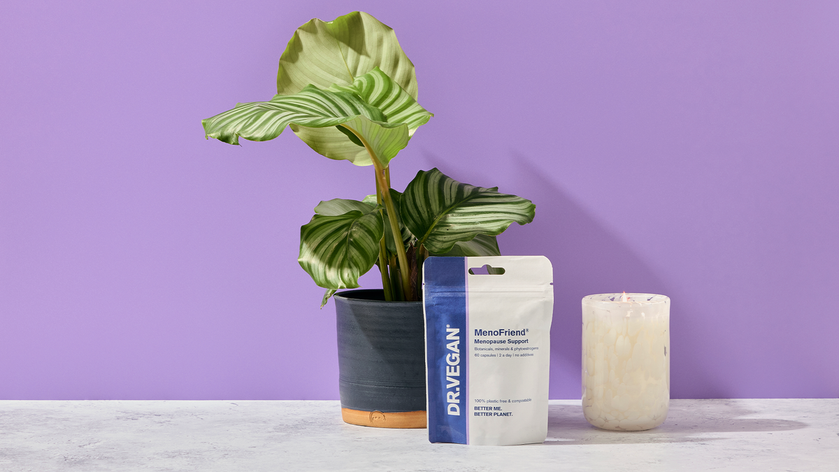 MenoFriend pouch beside a green plant on a lilac background