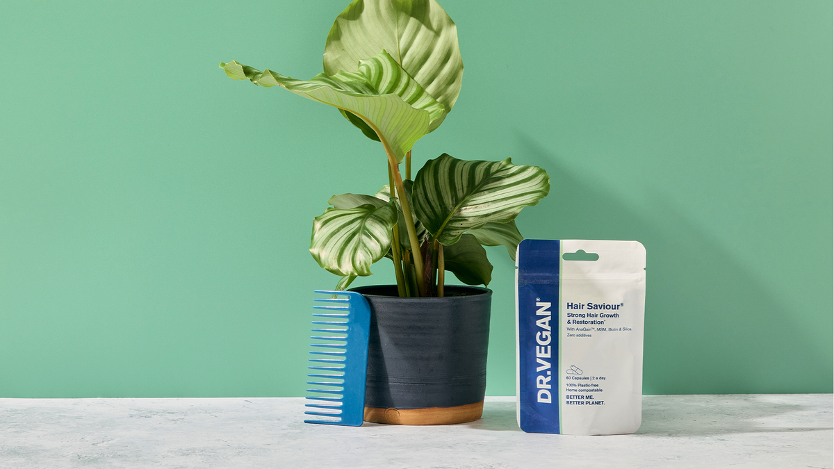 Hair Saviour pouch with a comb and a houseplant